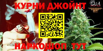 гидра Малгобек