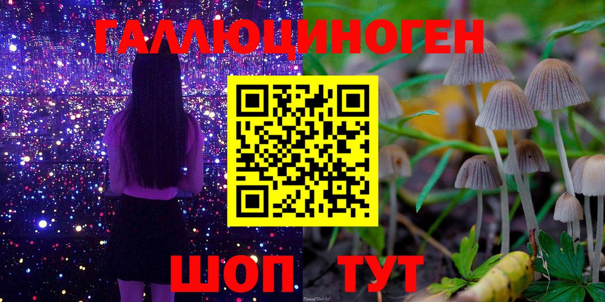 Таганрог  Галлюциногенные грибы прущие грибы  Галлюциногенные грибы MAGIC MUSHROOMS  закладки  Вход с VPN 